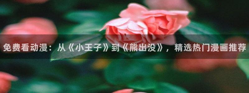 耽漫网免费：免费看动漫：从《小王子》到《熊出没》，精选热门漫画推荐