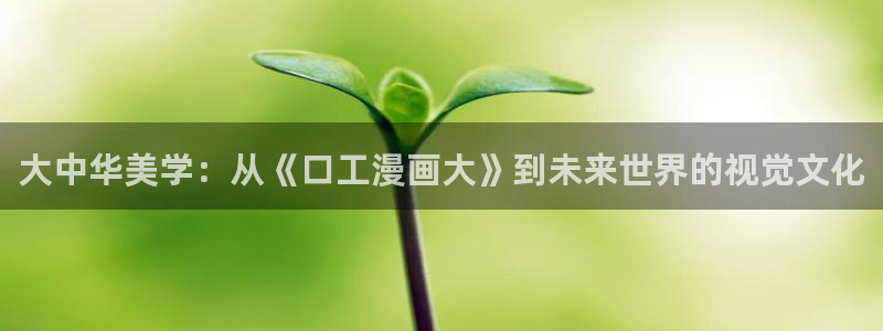 耽漫网之家动漫之家：大中华美学：从《口工漫画大》到未来世界的视觉文化