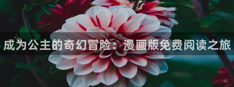 耽漫网下载：成为公主的奇幻冒险：漫画版免费阅读之旅