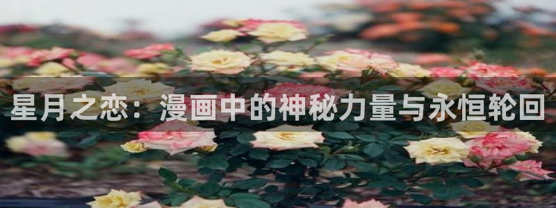 耽耽漫网：星月之恋：漫画中的神秘力量与永恒轮回