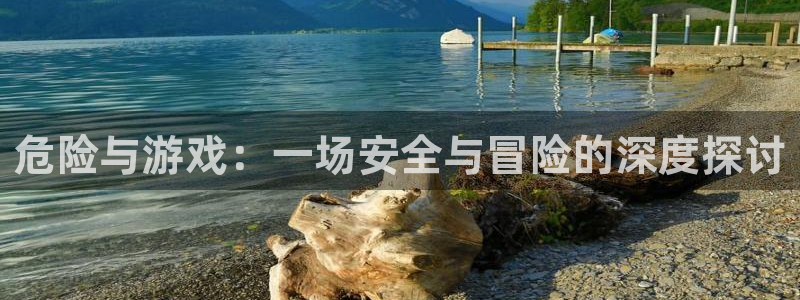 耽漫网最新小说推荐：危险与游戏：一场安全与冒险的深度探讨